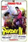 Ang Panday IV