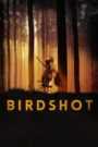 Birdshot