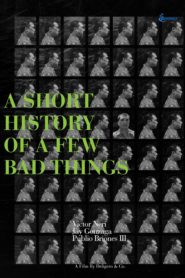 A Short History of a Few Bad Things