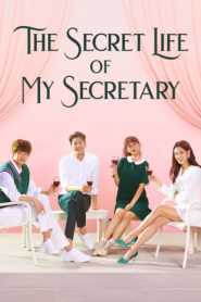 The Secret Life of My Secretary (Tagalog Dubbed)