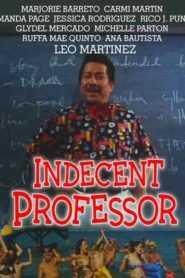 Indecent Professor