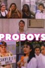 Proboys