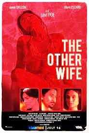 The Other Wife