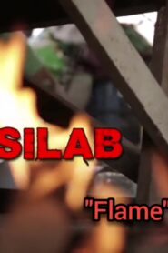 Silab “Flame”