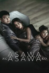 Finale ep206-207 – Asawa Ng Asawa Ko