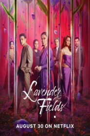 Finale ep96-100 – Lavender Fields